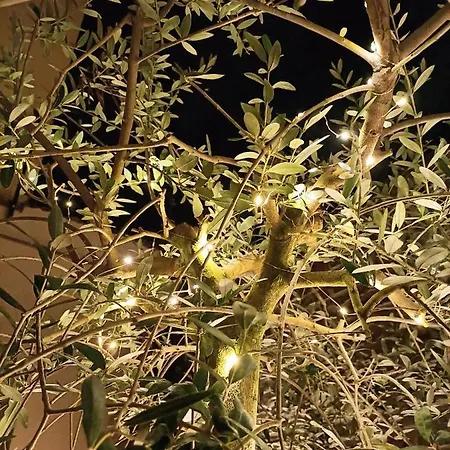 Bb Letterario * Rávena