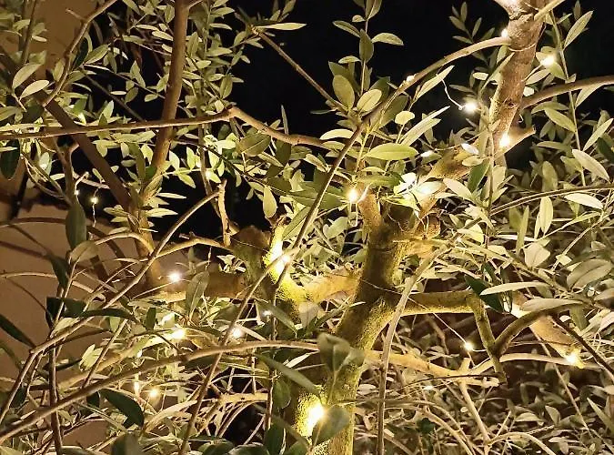 Bb Letterario * Ravenna